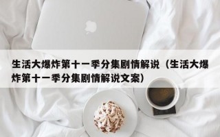 生活大爆炸第十一季分集剧情解说（生活大爆炸第十一季分集剧情解说文案）