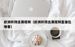 欧洲杯预选赛视频（欧洲杯预选赛视频直播在哪看）