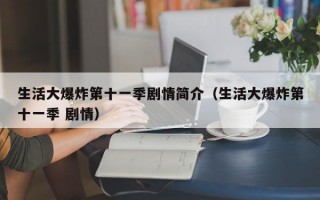 生活大爆炸第十一季剧情简介（生活大爆炸第十一季 剧情）