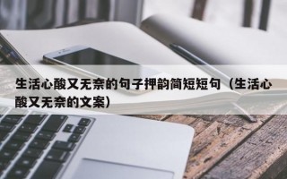 生活心酸又无奈的句子押韵简短短句（生活心酸又无奈的文案）