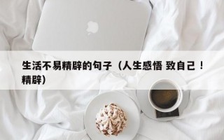 生活不易精辟的句子（人生感悟 致自己 !精辟）