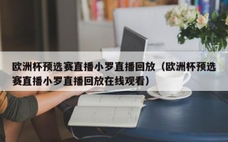 欧洲杯预选赛直播小罗直播回放（欧洲杯预选赛直播小罗直播回放在线观看）